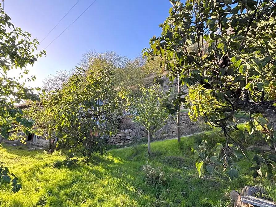 Immagine 29 di Casa indipendente in vendita  in Contrada Monte Ponente a Apice