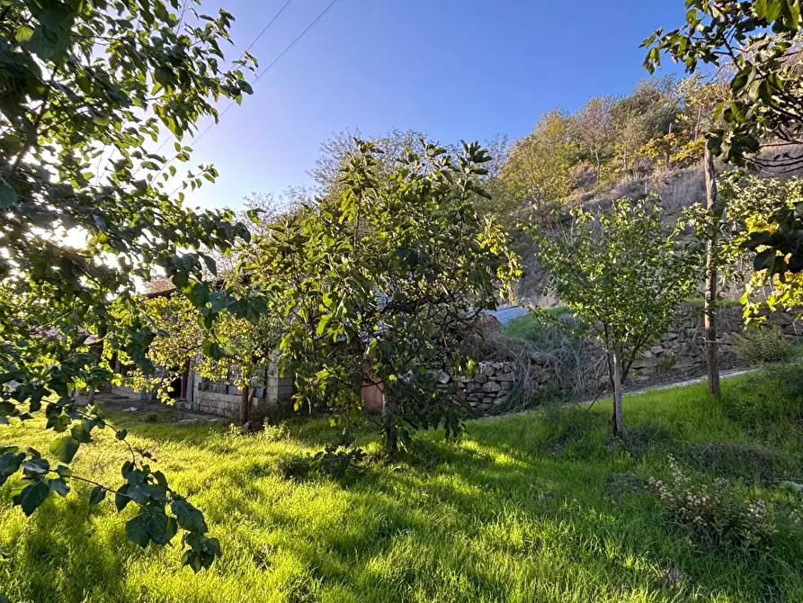 Immagine 30 di Casa indipendente in vendita  in Contrada Monte Ponente a Apice