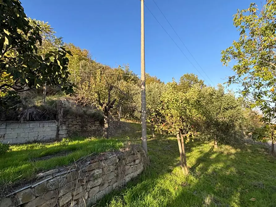Immagine 28 di Casa indipendente in vendita  in Contrada Monte Ponente a Apice
