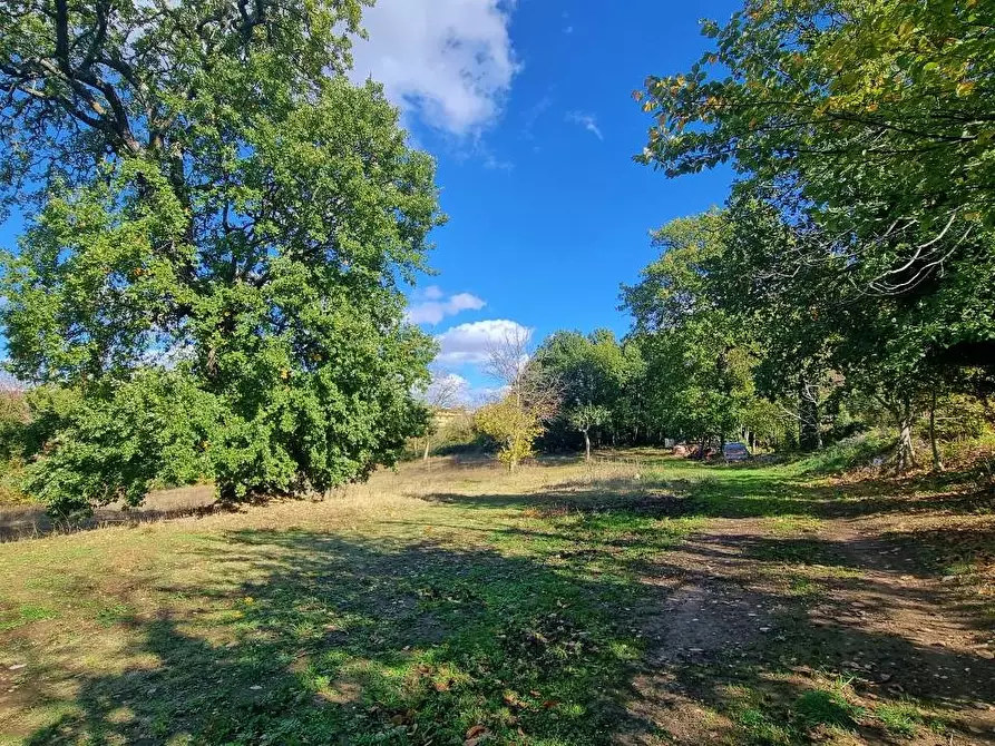 Immagine 14 di Villa in vendita  in Contrada Molini a Trevico