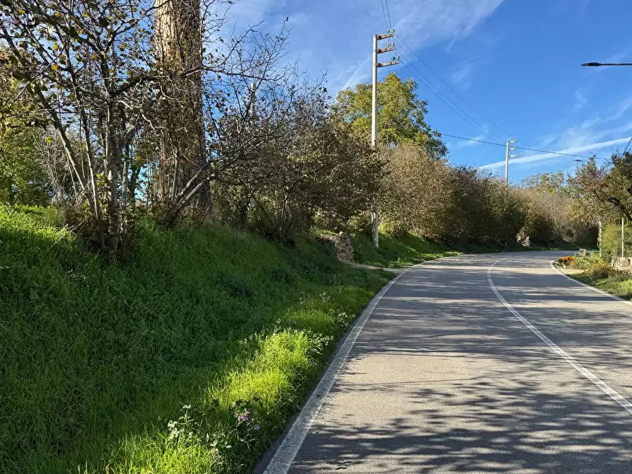 Immagine 8 di Casa indipendente in vendita  in CONTRADA TORANO 16 a Fontanarosa
