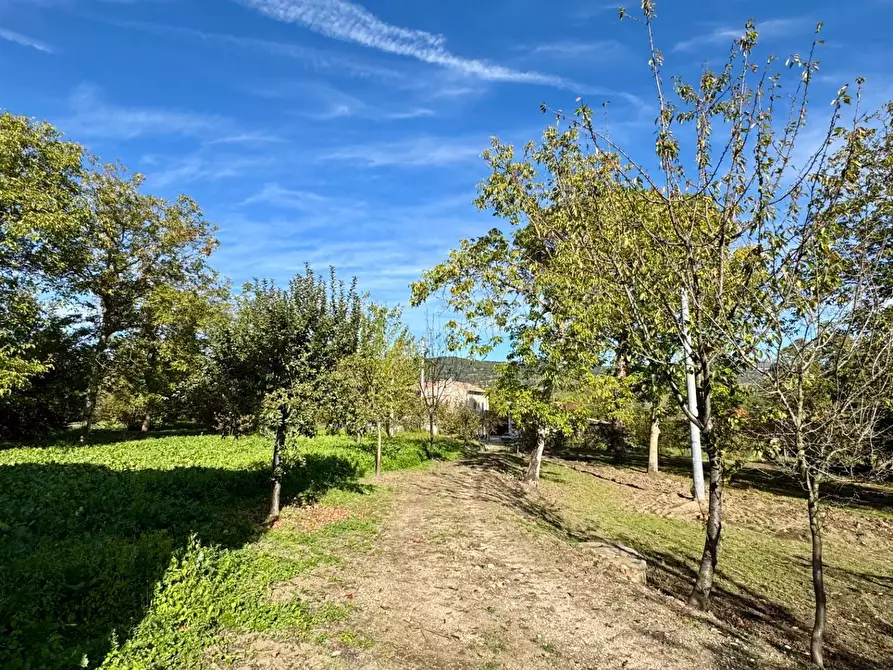 Immagine 12 di Casa indipendente in vendita  in CONTRADA TORANO 16 a Fontanarosa