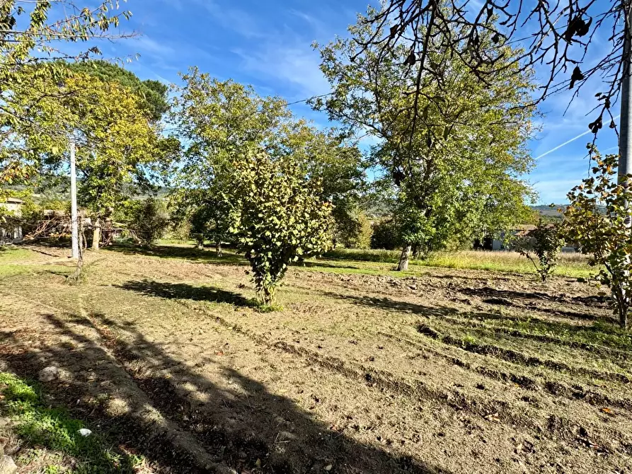 Immagine 13 di Casa indipendente in vendita  in CONTRADA TORANO 16 a Fontanarosa