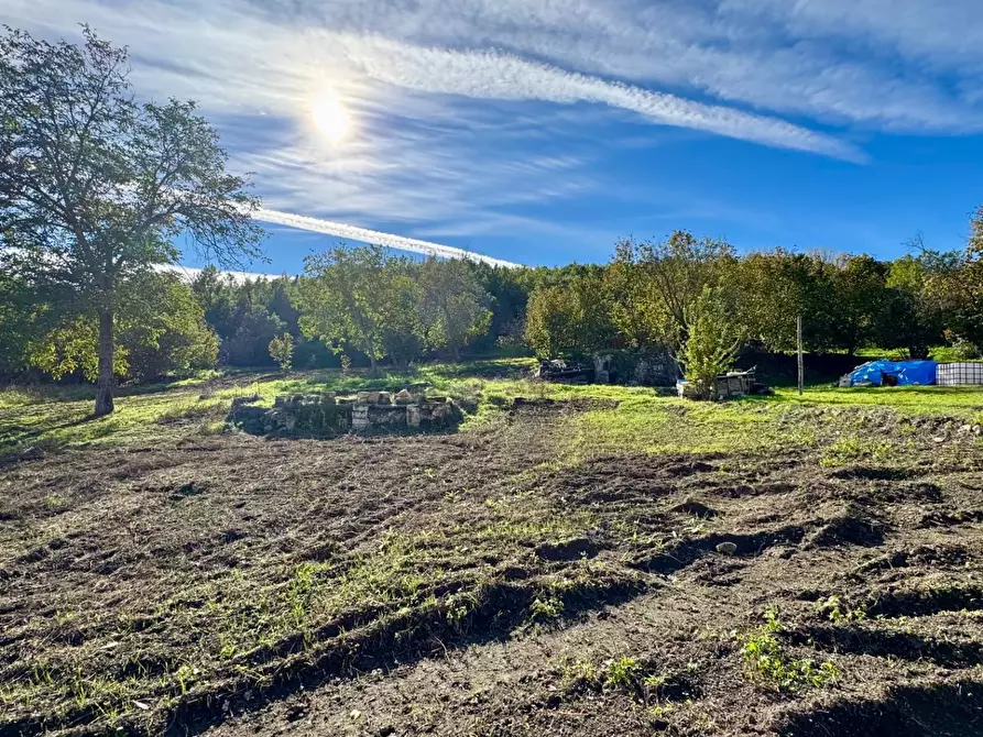 Immagine 14 di Casa indipendente in vendita  in CONTRADA TORANO 16 a Fontanarosa