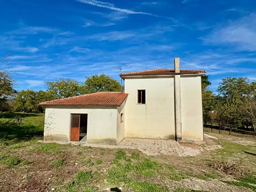 Immagine 4 di Casa indipendente in vendita  in CONTRADA TORANO 16 a Fontanarosa