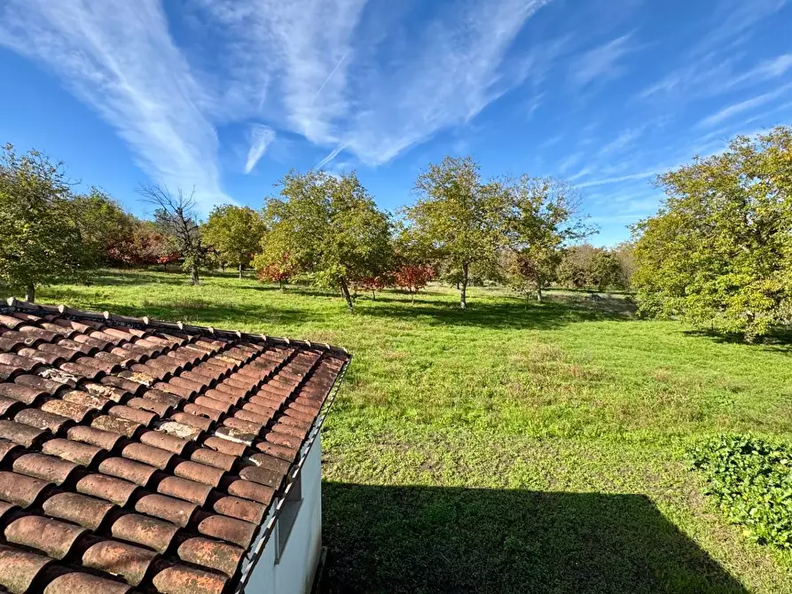 Immagine 15 di Casa indipendente in vendita  in CONTRADA TORANO 16 a Fontanarosa