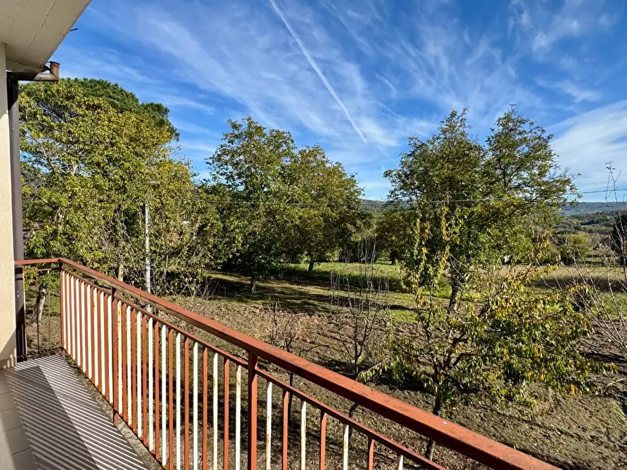Immagine 27 di Casa indipendente in vendita  in CONTRADA TORANO 16 a Fontanarosa