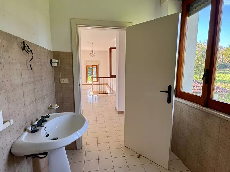 Immagine 30 di Casa indipendente in vendita  in CONTRADA TORANO 16 a Fontanarosa