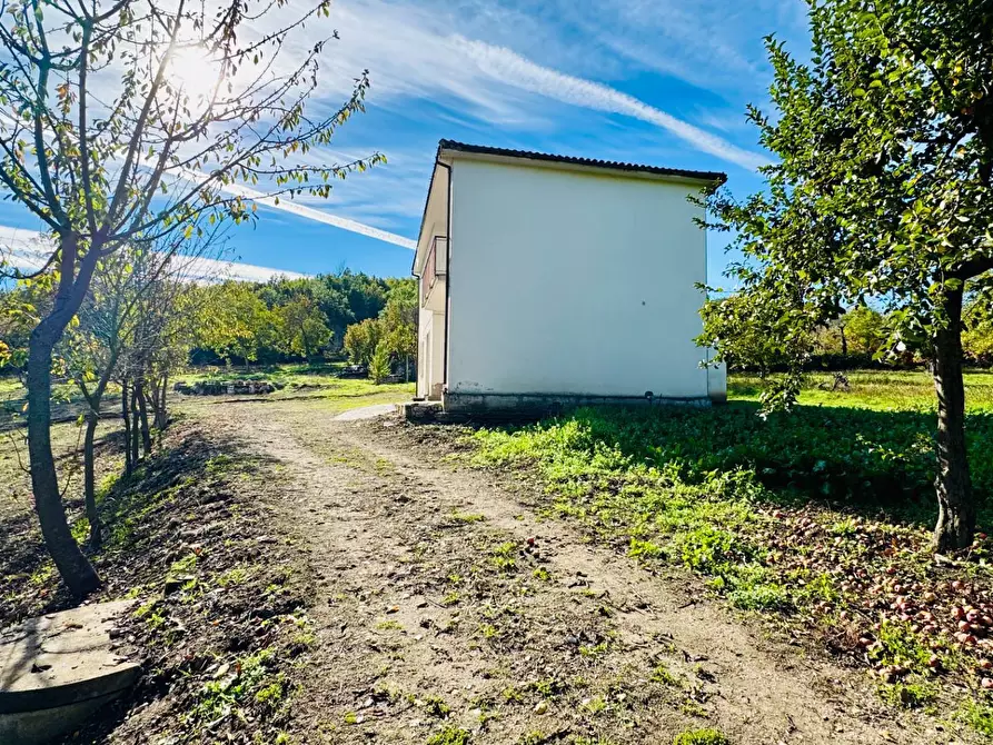 Immagine 6 di Casa indipendente in vendita  in CONTRADA TORANO 16 a Fontanarosa