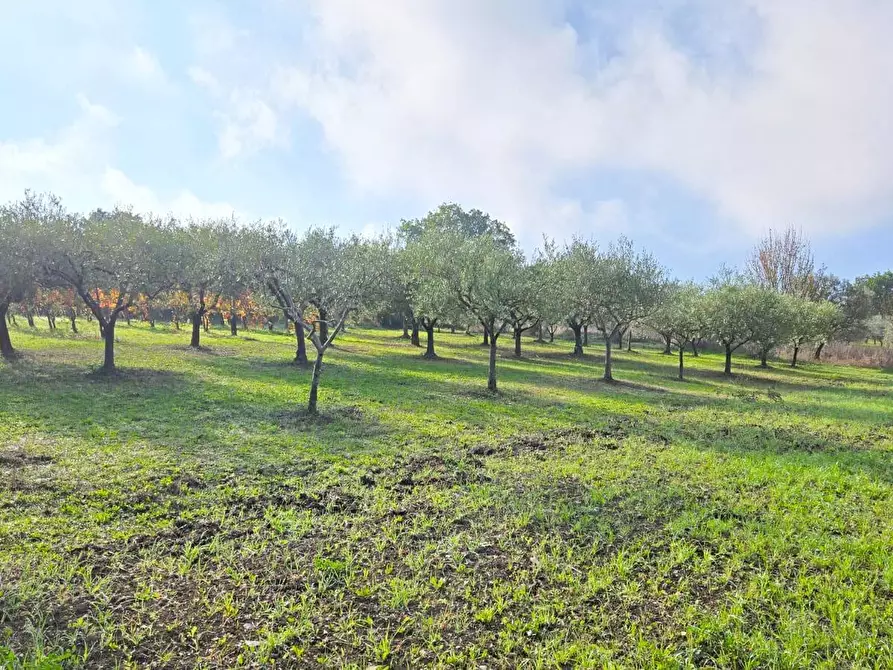 Immagine 6 di Casa indipendente in vendita  in Via delle Querce 3 a Torre Le Nocelle