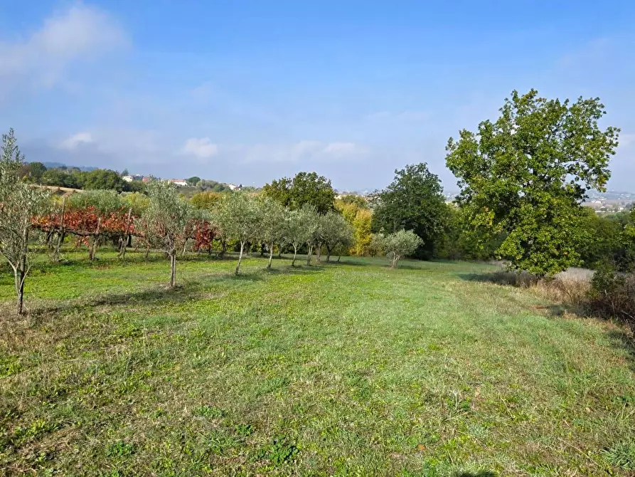 Immagine 24 di Casa indipendente in vendita  in Via delle Querce 3 a Torre Le Nocelle