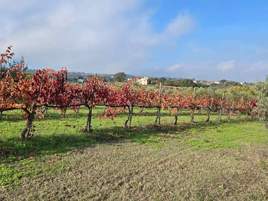 Immagine 25 di Casa indipendente in vendita  in Via delle Querce 3 a Torre Le Nocelle