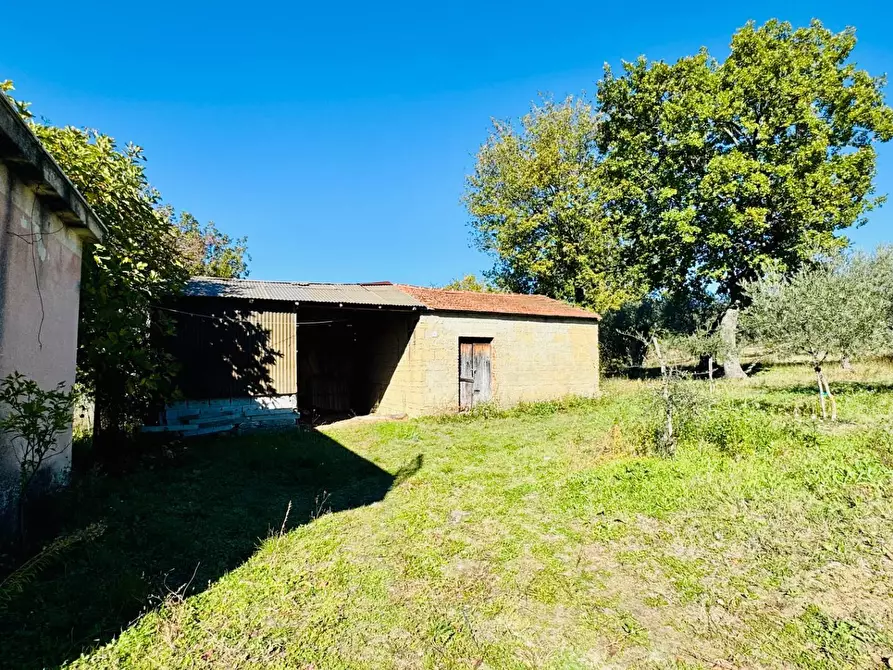 Immagine 7 di Casa indipendente in vendita  in via chiocche del forno a Mirabella Eclano