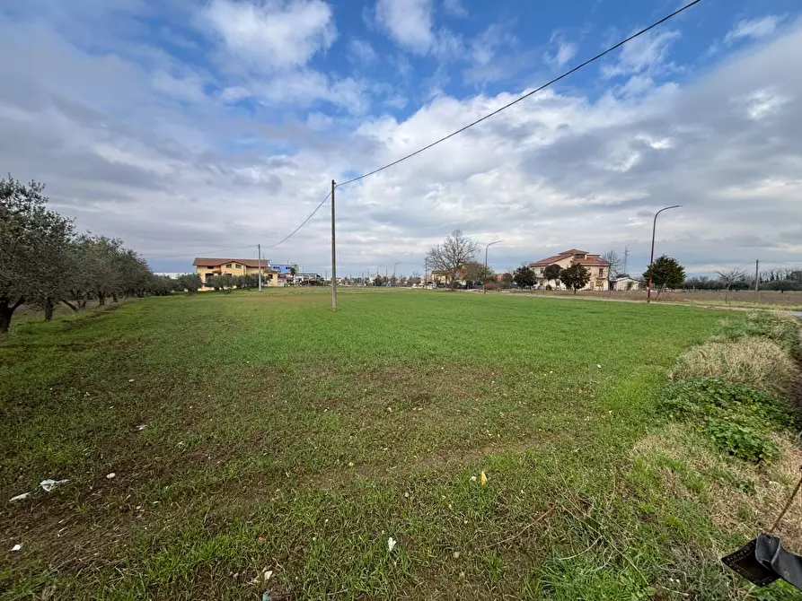 Immagine 4 di Locale commerciale in vendita  a Benevento