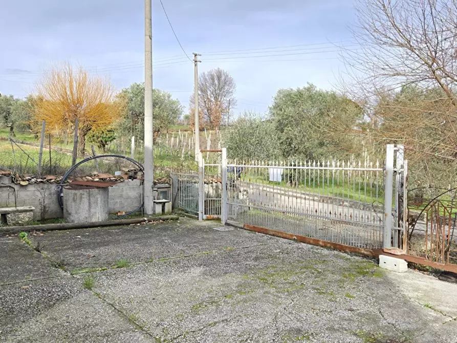 Immagine 6 di Casa indipendente in vendita  in C/da Pescocupo a Paternopoli