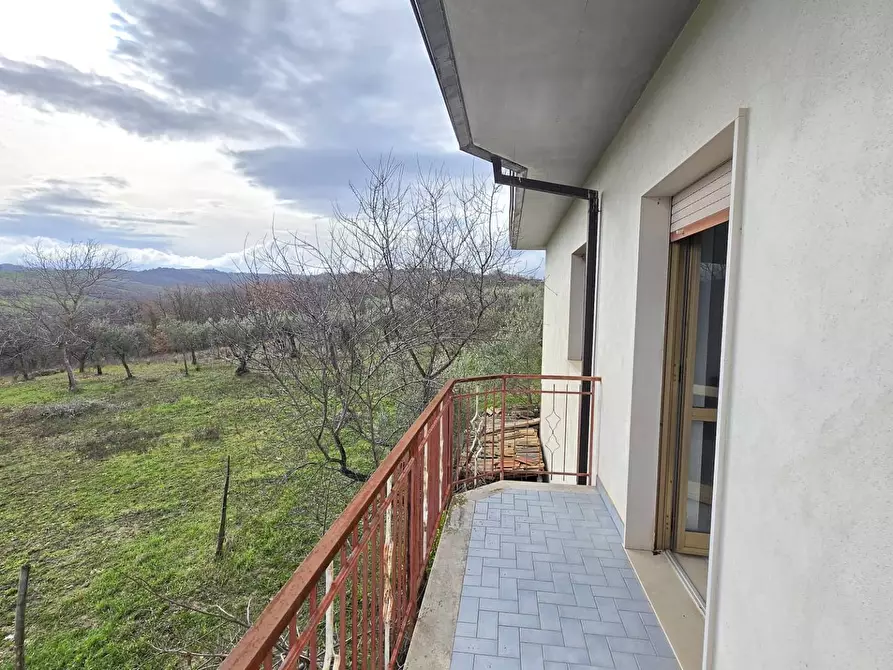 Immagine 26 di Casa indipendente in vendita  in C/da Pescocupo a Paternopoli