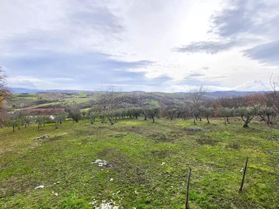 Immagine 28 di Casa indipendente in vendita  in C/da Pescocupo a Paternopoli