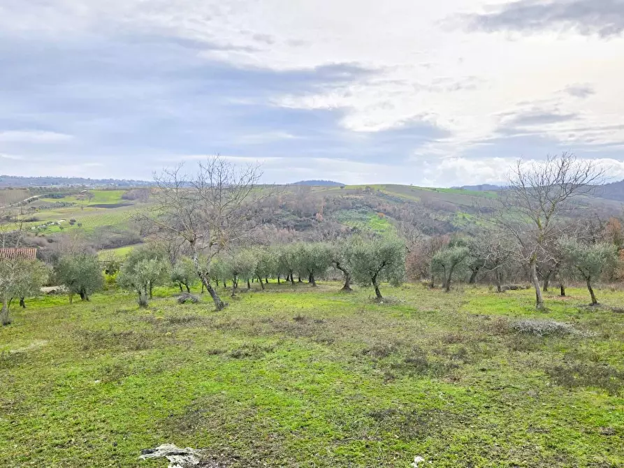 Immagine 29 di Casa indipendente in vendita  in C/da Pescocupo a Paternopoli