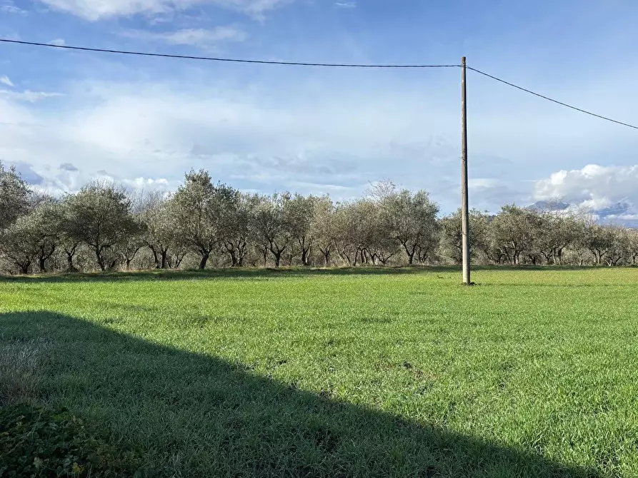 Immagine 7 di Locale commerciale in vendita  a Benevento