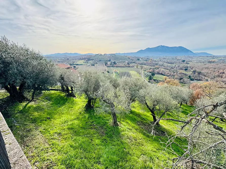 Immagine 31 di Casa indipendente in vendita  in VIA TOPPOLE a Parolise