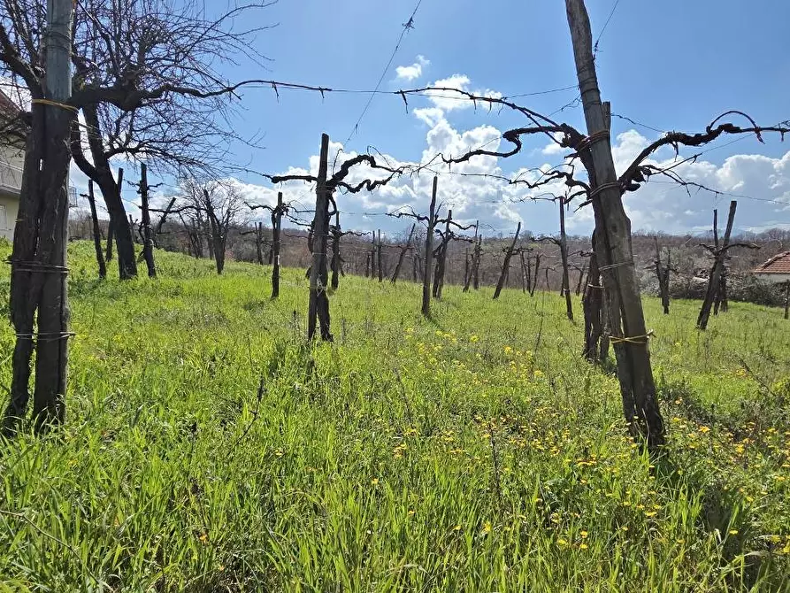 Immagine 9 di Casa indipendente in vendita  in Contrada acquara a Torella Dei Lombardi