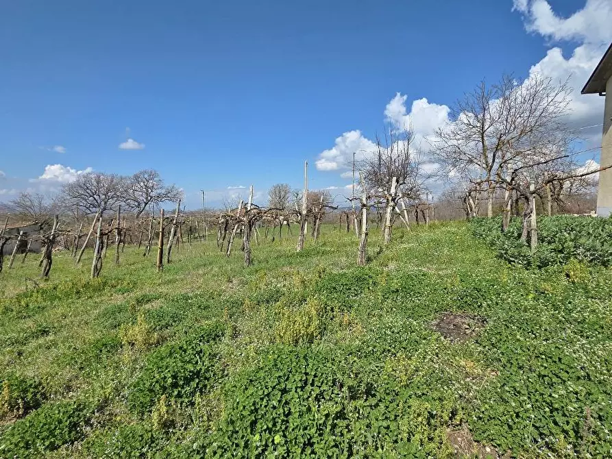 Immagine 20 di Casa indipendente in vendita  in Contrada acquara a Torella Dei Lombardi