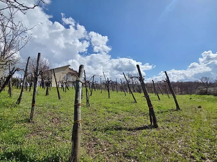Immagine 22 di Casa indipendente in vendita  in Contrada acquara a Torella Dei Lombardi