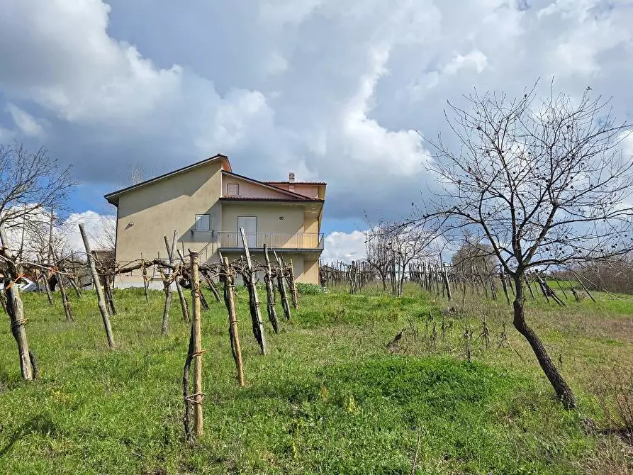 Immagine 8 di Casa indipendente in vendita  in Contrada acquara a Torella Dei Lombardi
