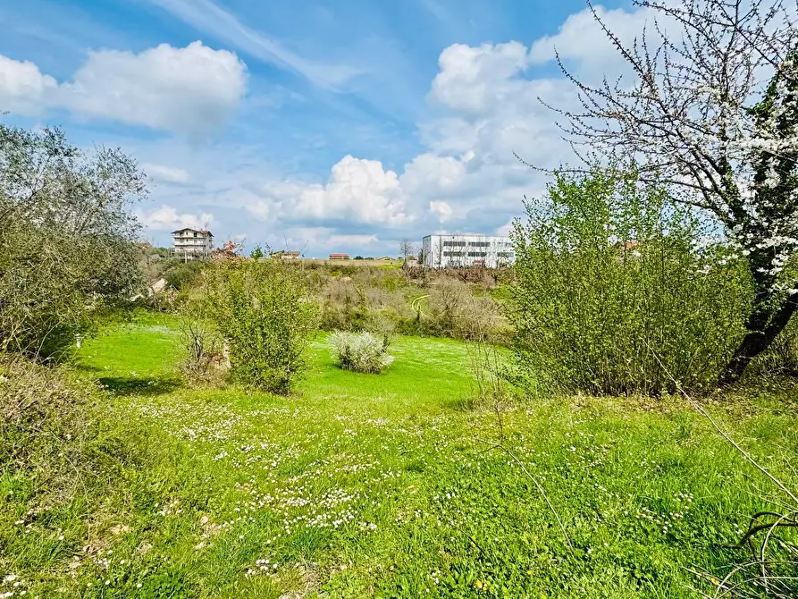 Immagine 8 di Casa indipendente in vendita  in VIA APPIA NUOVA a Calvi