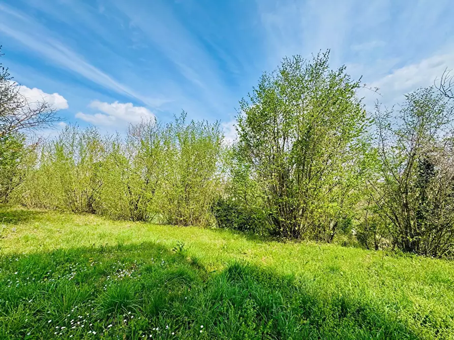 Immagine 10 di Casa indipendente in vendita  in VIA APPIA NUOVA a Calvi