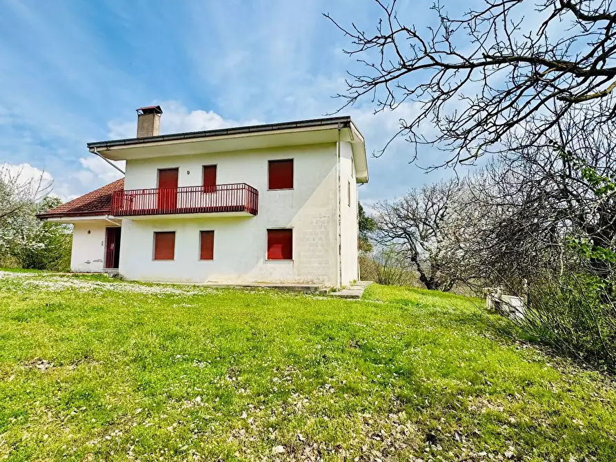 Immagine 3 di Casa indipendente in vendita  in VIA APPIA NUOVA a Calvi