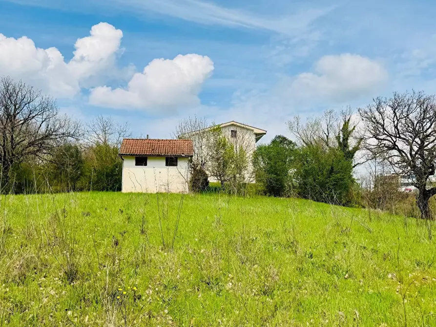 Immagine 7 di Casa indipendente in vendita  in VIA APPIA NUOVA a Calvi