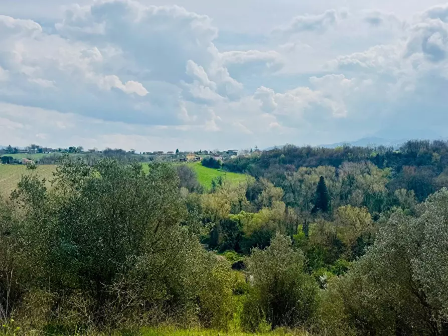 Immagine 11 di Casa indipendente in vendita  in VIA APPIA NUOVA a Calvi