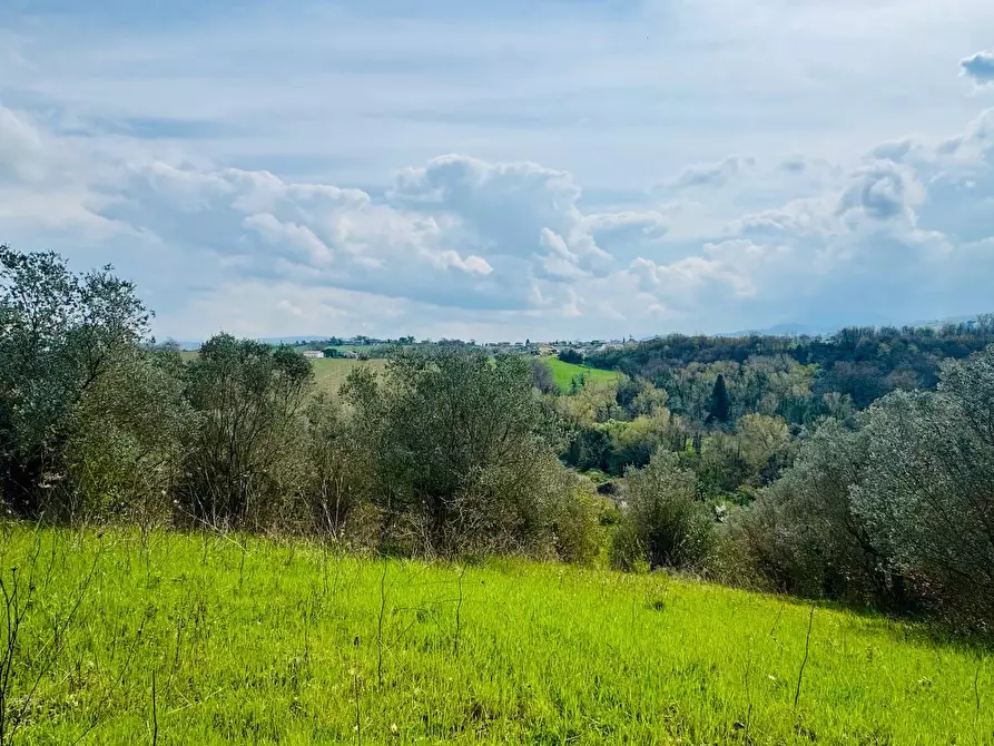 Immagine 12 di Casa indipendente in vendita  in VIA APPIA NUOVA a Calvi