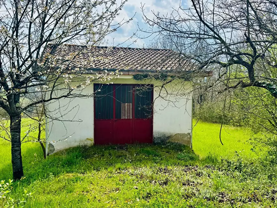 Immagine 6 di Casa indipendente in vendita  in VIA APPIA NUOVA a Calvi