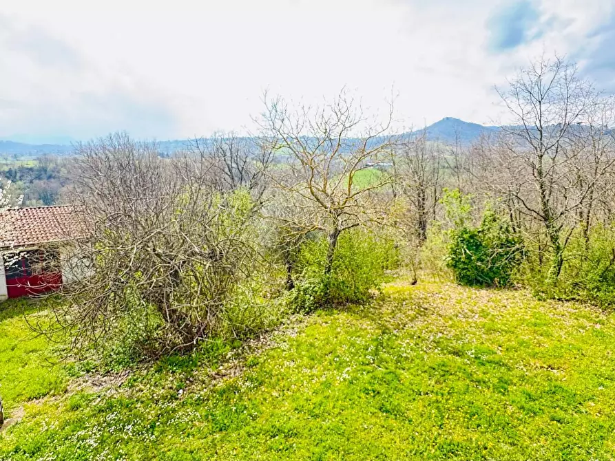 Immagine 30 di Casa indipendente in vendita  in VIA APPIA NUOVA a Calvi