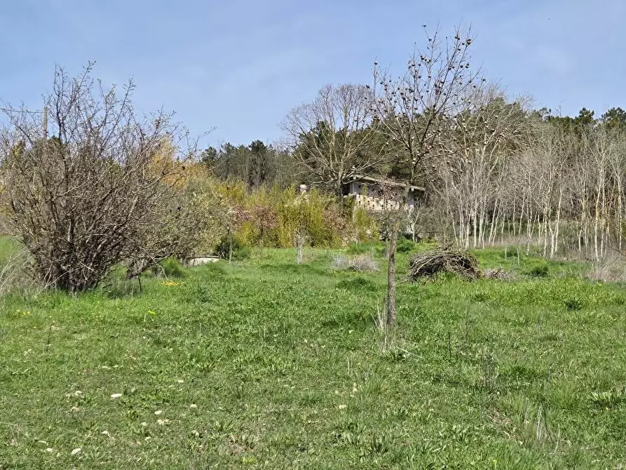 Immagine 21 di Villa in vendita  in Taverna delle noci 56 a Parolise