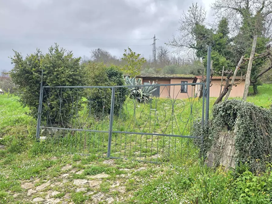 Immagine 1 di Terreno agricolo in vendita  in braiole a Andretta