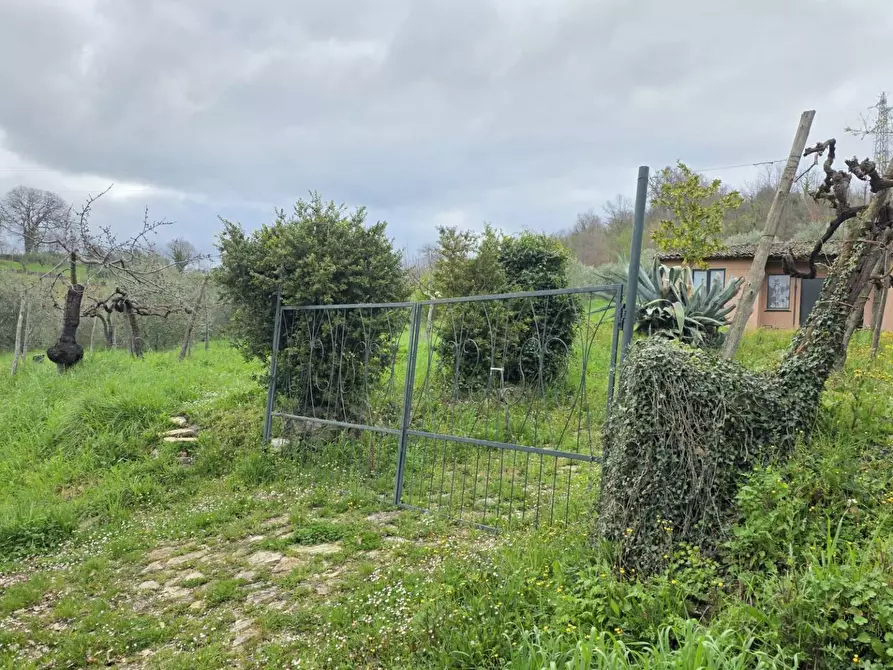 Immagine 2 di Terreno agricolo in vendita  in braiole a Andretta
