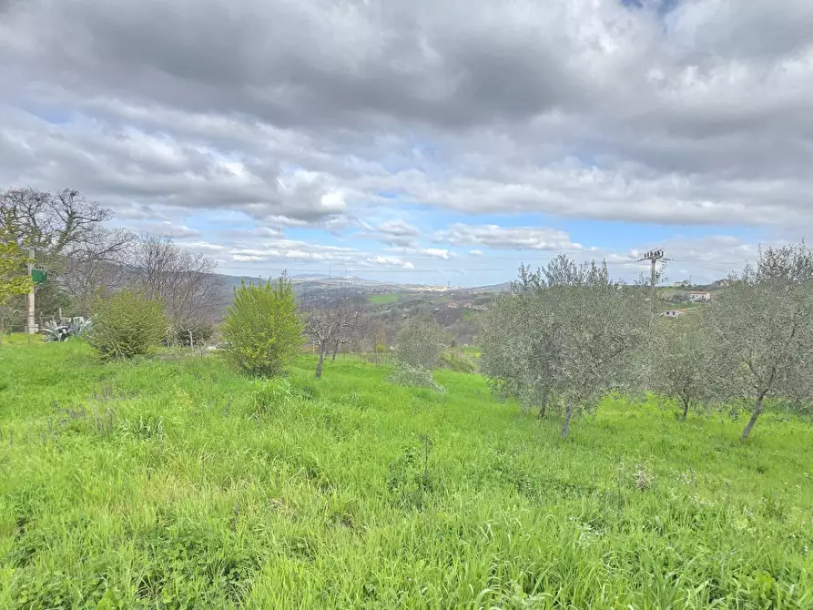 Immagine 3 di Terreno agricolo in vendita  in braiole a Andretta