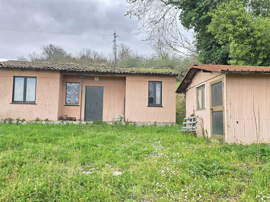 Immagine 4 di Terreno agricolo in vendita  in braiole a Andretta