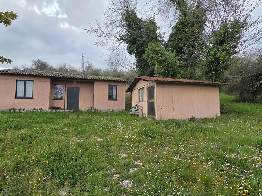 Immagine 5 di Terreno agricolo in vendita  in braiole a Andretta