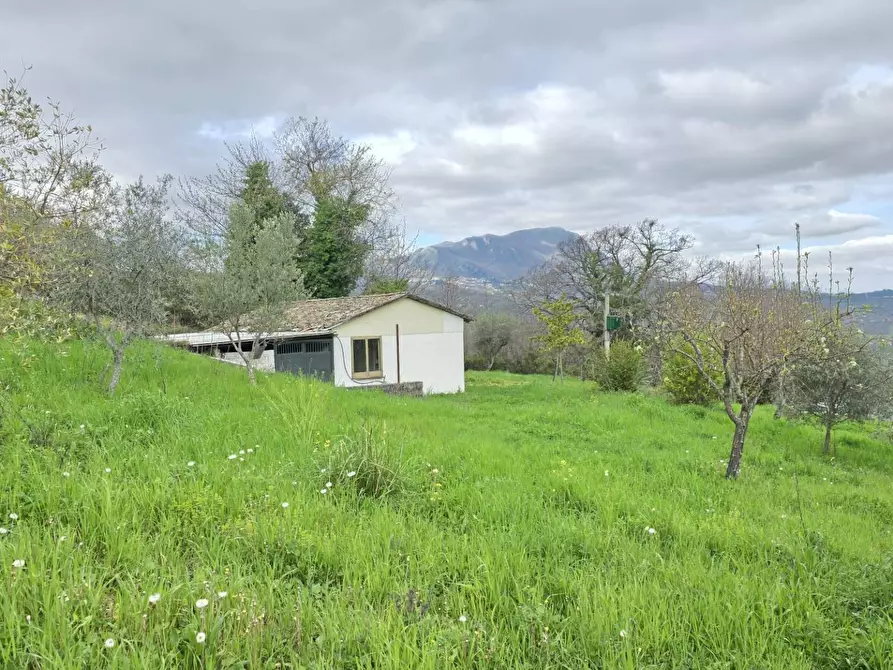 Immagine 6 di Terreno agricolo in vendita  in braiole a Andretta