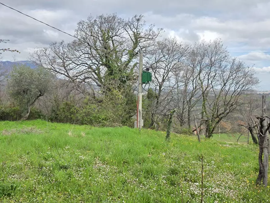Immagine 12 di Terreno agricolo in vendita  in braiole a Andretta