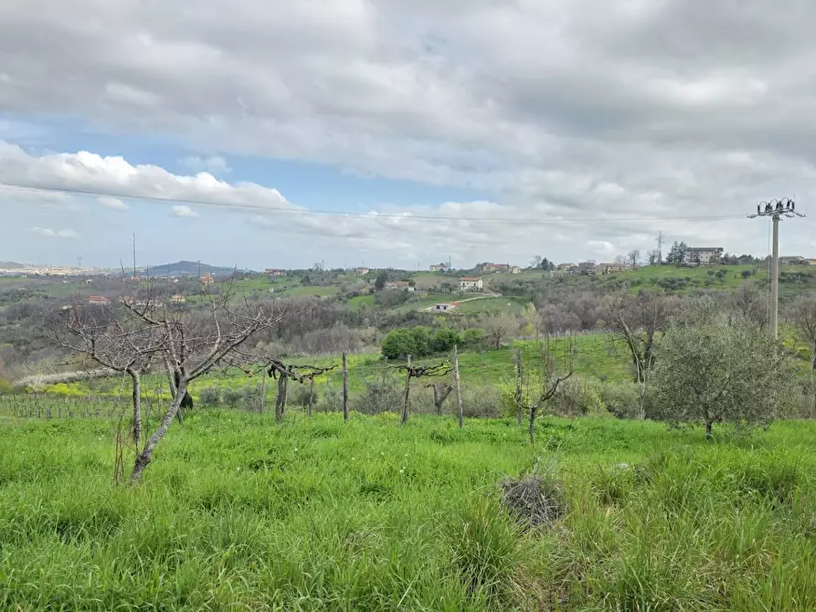 Immagine 13 di Terreno agricolo in vendita  in braiole a Andretta