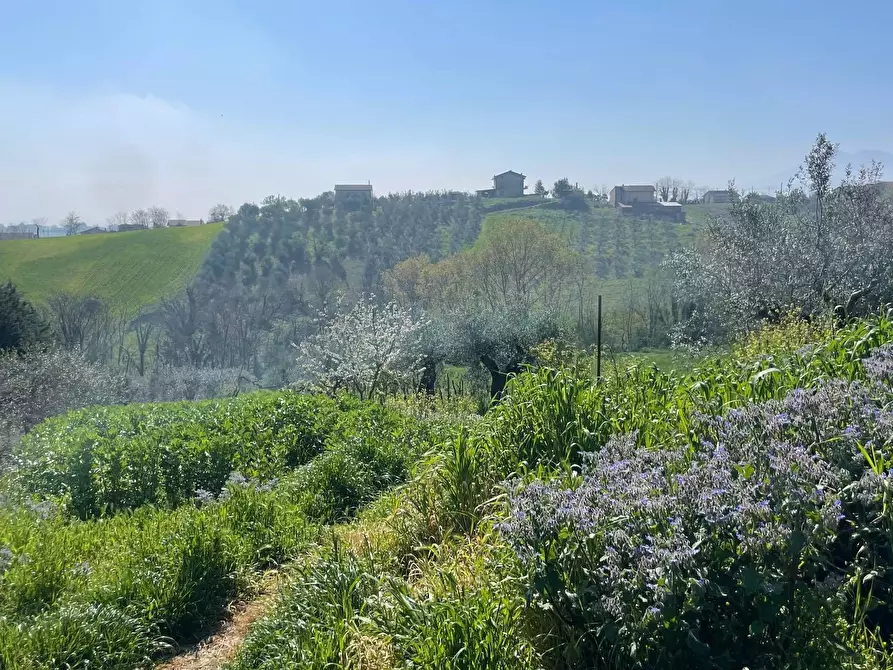 Immagine 8 di Casa indipendente in vendita  in Via traversa cesine 2 2 a San Giorgio Del Sannio