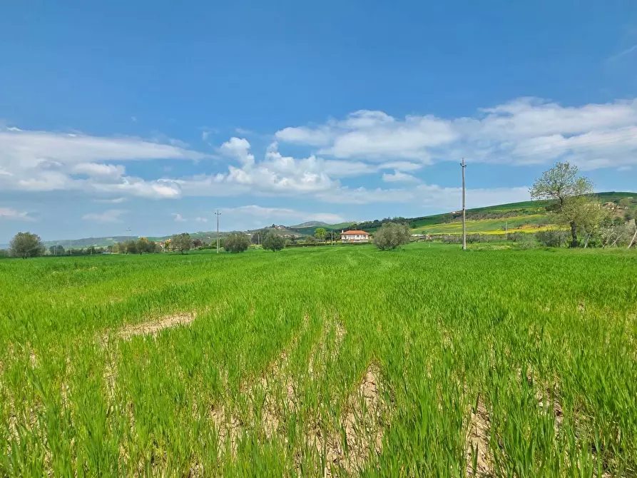 Immagine 3 di Terreno agricolo in vendita  in Russo a Andretta