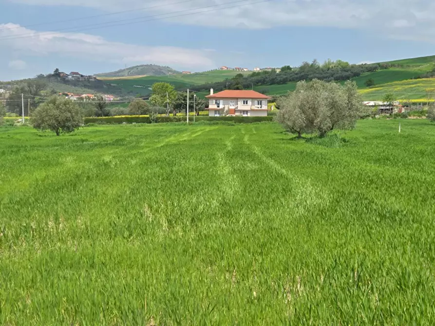 Immagine 4 di Terreno agricolo in vendita  in Russo a Andretta