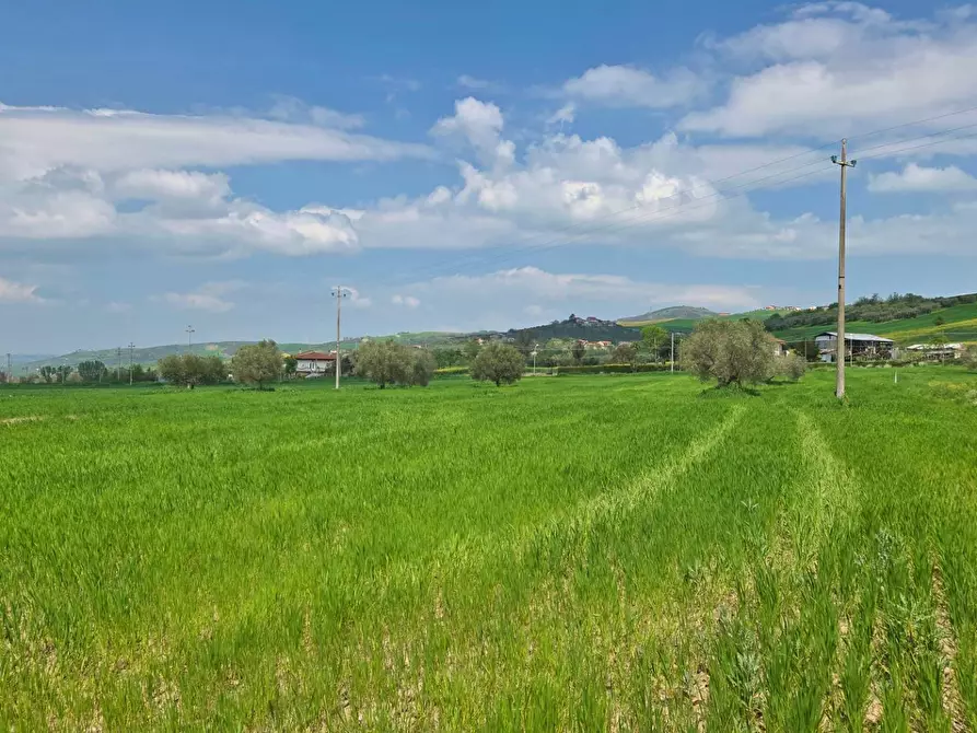 Immagine 5 di Terreno agricolo in vendita  in Russo a Andretta