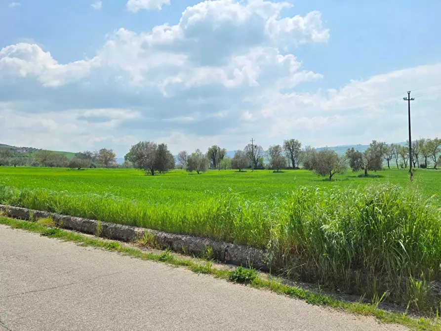 Immagine 8 di Terreno agricolo in vendita  in Russo a Andretta